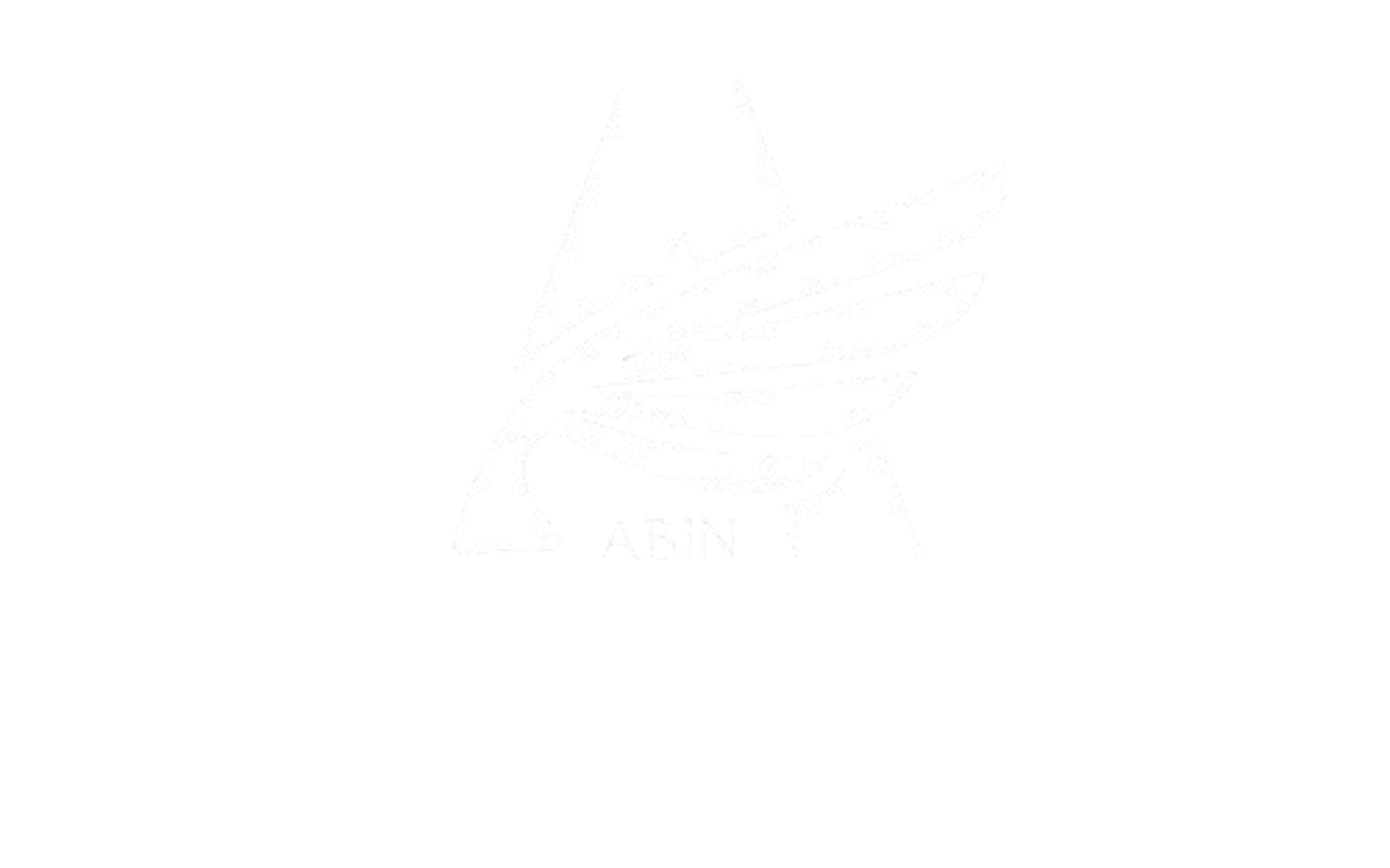 Abin varghese -Digital marketing Consultant